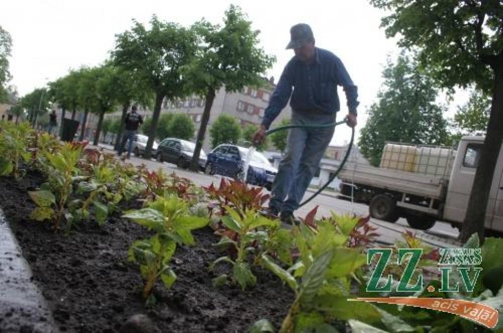 Lai iespējami mazāk traucētu automašīnu plūsmai, laistīšanai speciāli pielāgots neliels kravas spēkrats ar divu tonnu ūdens ietilpību.