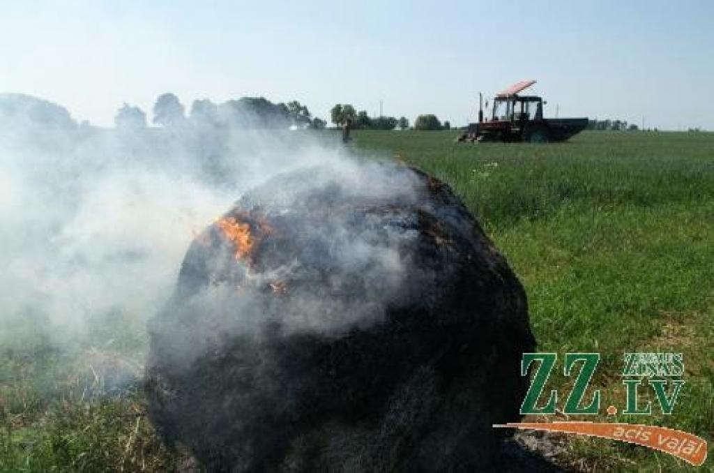 Kad «Ziņas» ieradās notikuma vietā, siena rullis gruzdēja pilnā sparā.