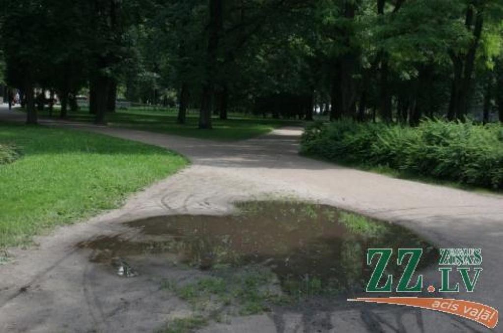 Pēc visa spriežot, labi domātā iecere nav izdevusies....