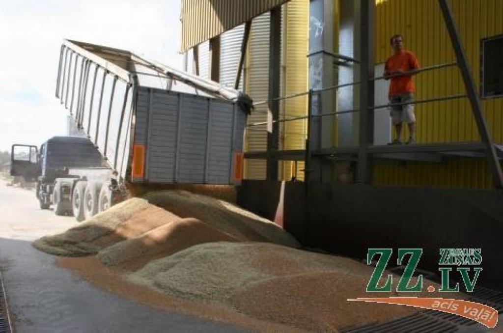 Kooperatīva «Latraps» Elejas iecirknī šobrīd izmēģina jūlijā uzcelto graudu pieņemšanas, attīrīšanas un kaltēšanas iekārtu.
Autors: Agris Samcovs.