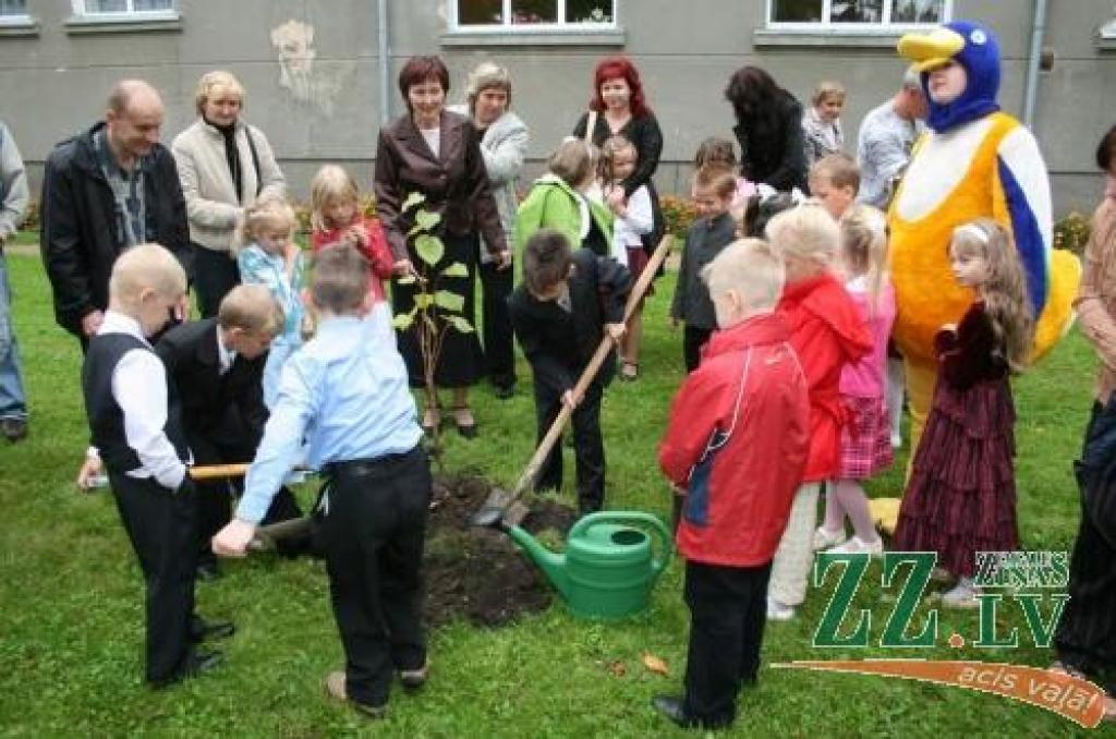 Pirms gada par godu pirmajai skolas dienai tika iestādīts etiķkoks, šogad skolas botāniskajā dārzā savu vietu radusi pirmklasnieku stādīta liepiņa.
Autors: Krišjānis Grantiņš.