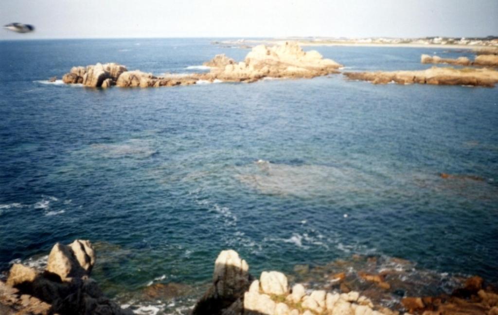 Okeāns un klintis
Autors: Arnis G.