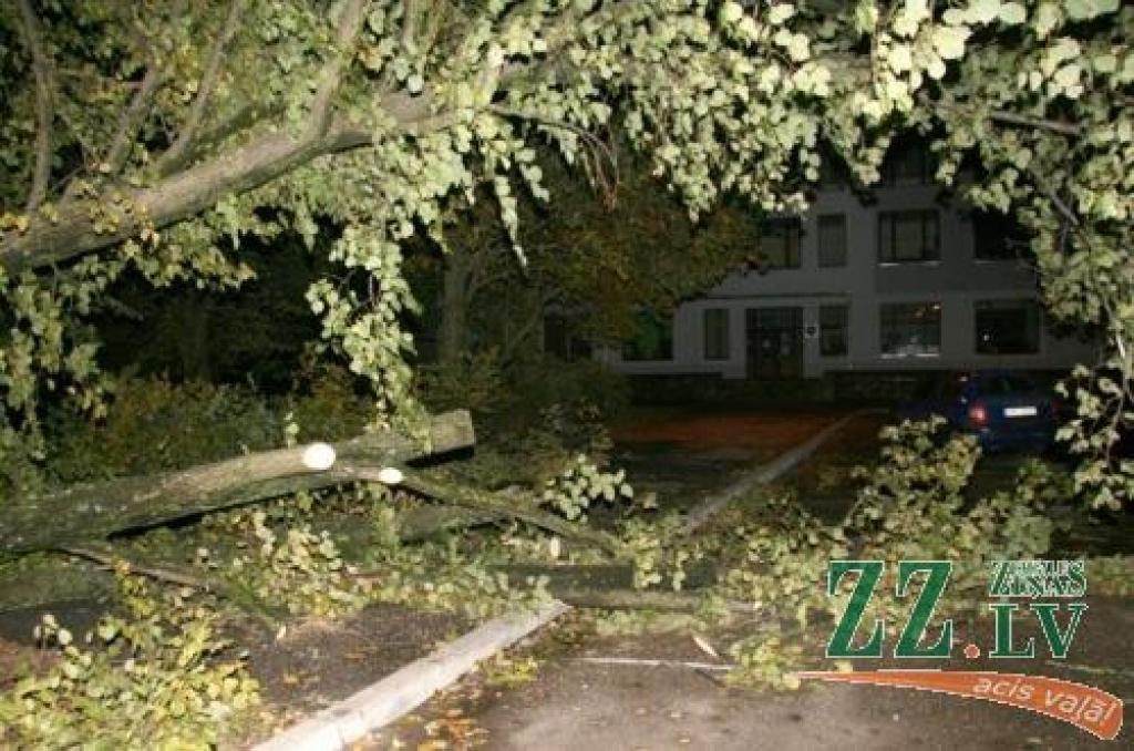 Pirmais spēcīgā vēja izraisītais negadījums reģistrēts piektdienas vakarā pēc pulksten 19, kad J.Čakstes bulvārī pie LLU Sporta nama četrām automašīnām uzgāzās koks.
Autors: Inga Karlinska.