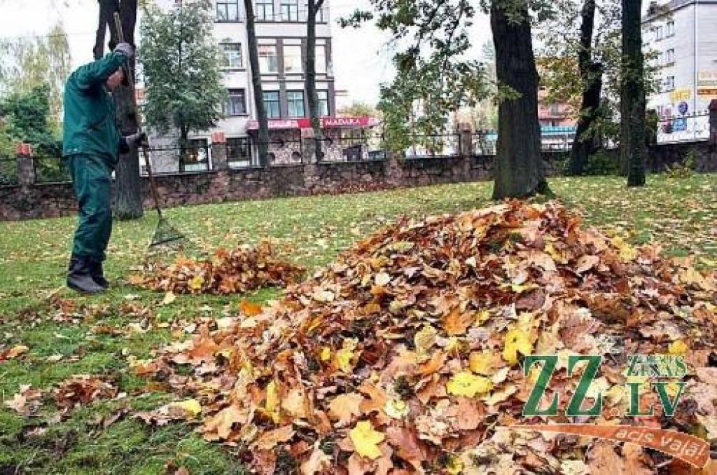 Pilsētas saistošie sadzīves atkritumu apsaimniekošanas noteikumi paredz, ka sagrābtās rudens lapas dedzināt nedrīkst. Trūdošie atkritumi jākompostē vai arī jānogādā kompostēšanas vietā.
Autors: Agris Samcovs.