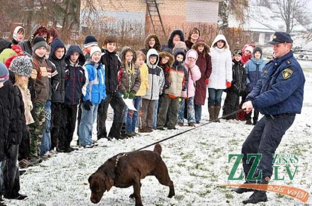 Labradors ir tik apņēmības pilns darboties, ka rautin raujas uz priekšu kaut ko meklēt...
Autors: Agris Samcovs.