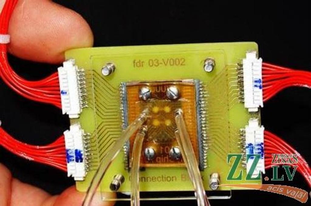 Sēnes, izrādās, var ne vien ēst, bet arī izmantot smalkās tehnoloģijās.
Autors: Publicitātes foto.