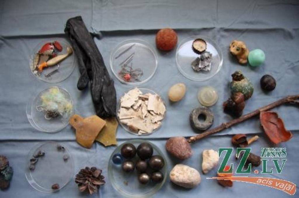 Dzīvnieku apēsto lietu kolekcija veterinārajā klīnikā savākta desmit gadu laikā. Daži priekšmeti ir zuduši, bet lielāko daļu – bērnu knupīti, adatas, metāla lodes, «Kinder Surprise» pusīti, pat cimdu un daudzas citas lietas – saimnieki atstājuši vēsturei.
Autors: Krišjānis Grantiņš.