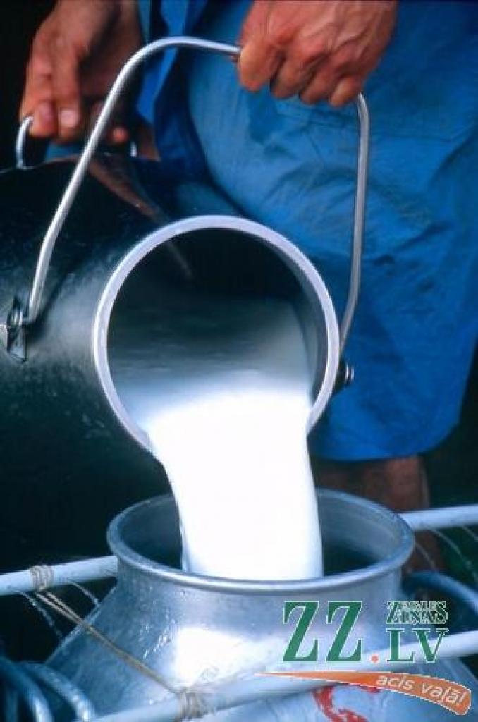 Piens ar mazgāšanas līdzekļa paliekām līdz patērētājam nenokļuva...
Autors: No «Ziņu» arhīva.