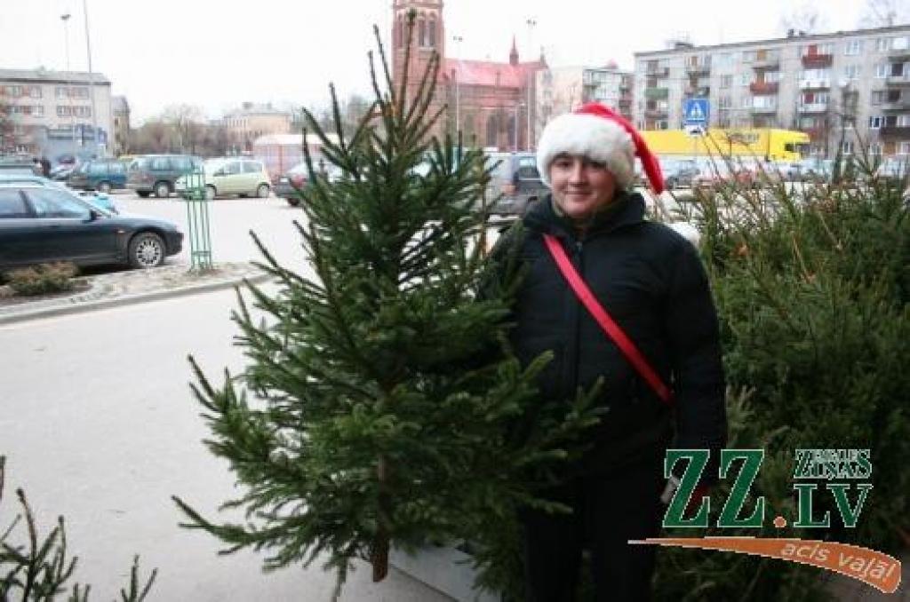 Eglīti svētkiem var iegādāties par dažādām cenām - no 3,50 līdz pat 28 latiem.
Autors: Agris Samcovs.