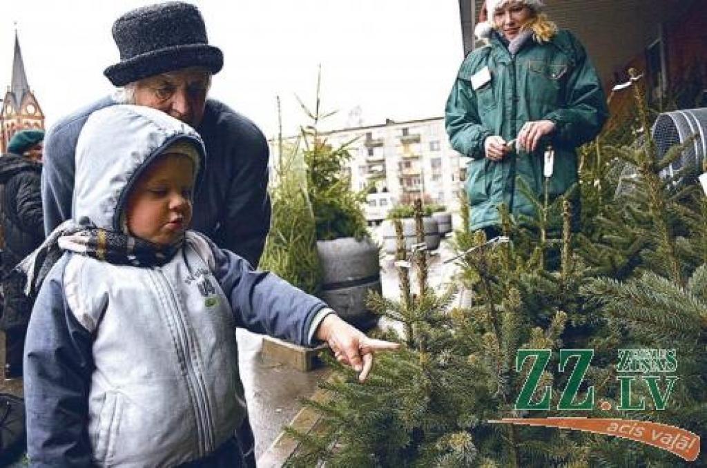 Arī šogad Jelgavā svētku eglītes varēs iegādāties vairākās vietās.
Autors: No «Ziņu» arhīva.