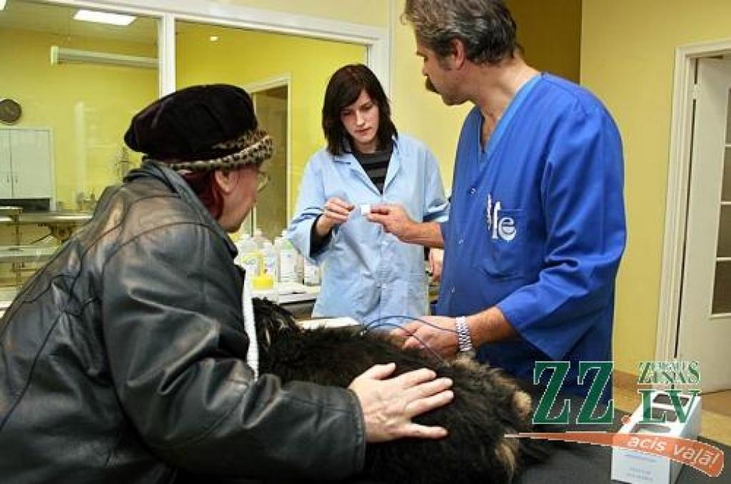 Jelgavas Valsts ģimnāzijas 12.c klases skolniece Dace Trupāne (vidū) izvēlējās ēnot Latvijas Lauksaimniecības universitātes Veterinārmedicīnas fakultātes Klīniskā institūta docentu Oskaru Kozindu, kurš meitenei uzticēja veikt arī dažus nelielus palīgdarbiņus.
Autors: Agris Samcovs.