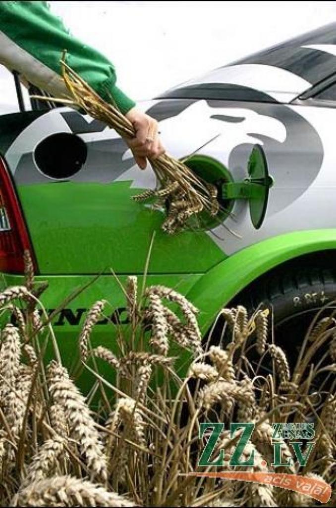 Biodegvielas ražošana dabas saudzēšanas nolūkā izrādās neefektīva, uzskata ASV zinātnieki.
Autors: www.telegraph.co.uk