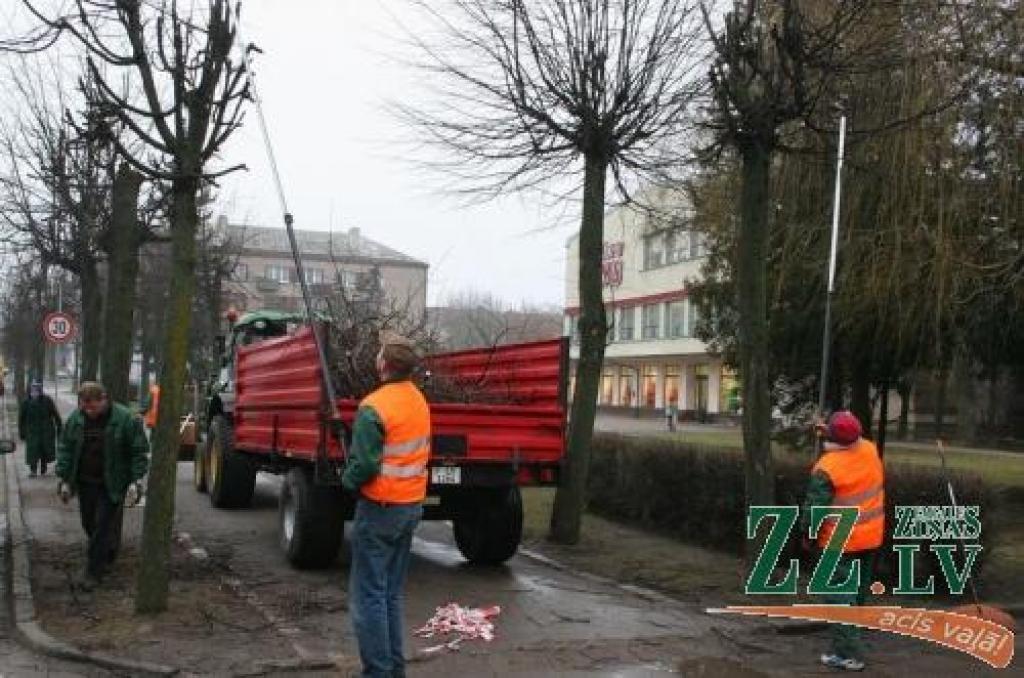 Līdz sešmetrīgu koku vainagu kopšanai SIA «Aleja D» izmanto teleskopiskos rokas instrumentus.
Autors: Agris Samcovs.