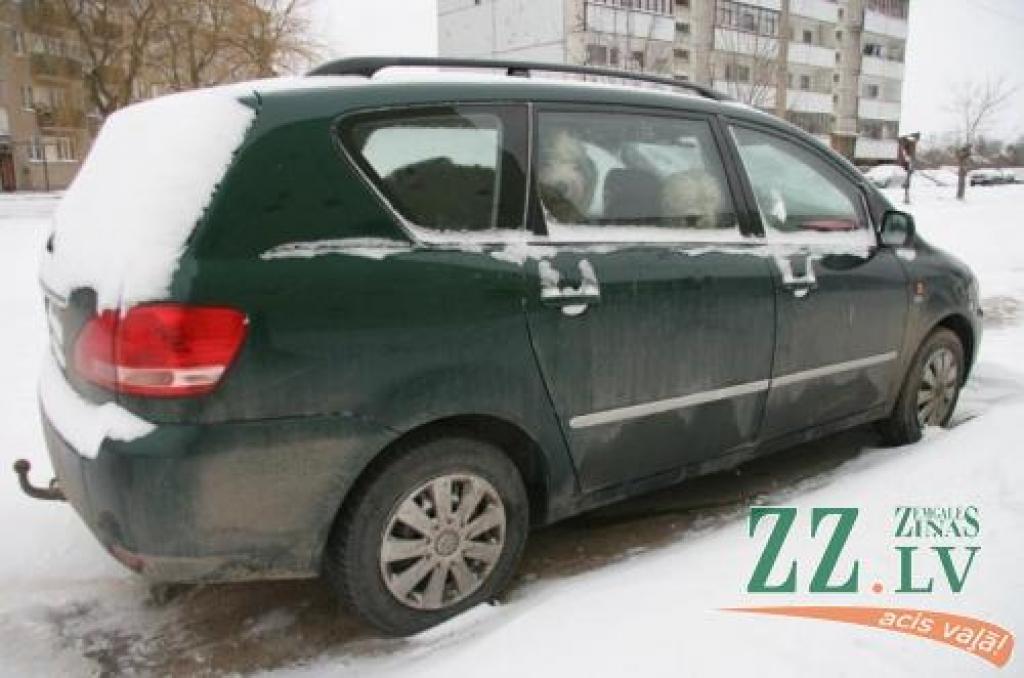 Ānē divi bobteila šķirnes suņi vairākas dienas spiesti pavadīt, ieslēgti automašīnas salonā.
Autors: Inga Karlinska.