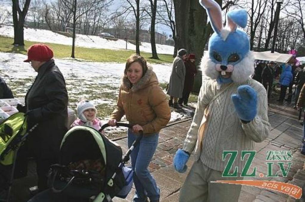 Viens no daudzajiem pils parkā sastaptajiem zaķiem.
Autors: Agris Samcovs.