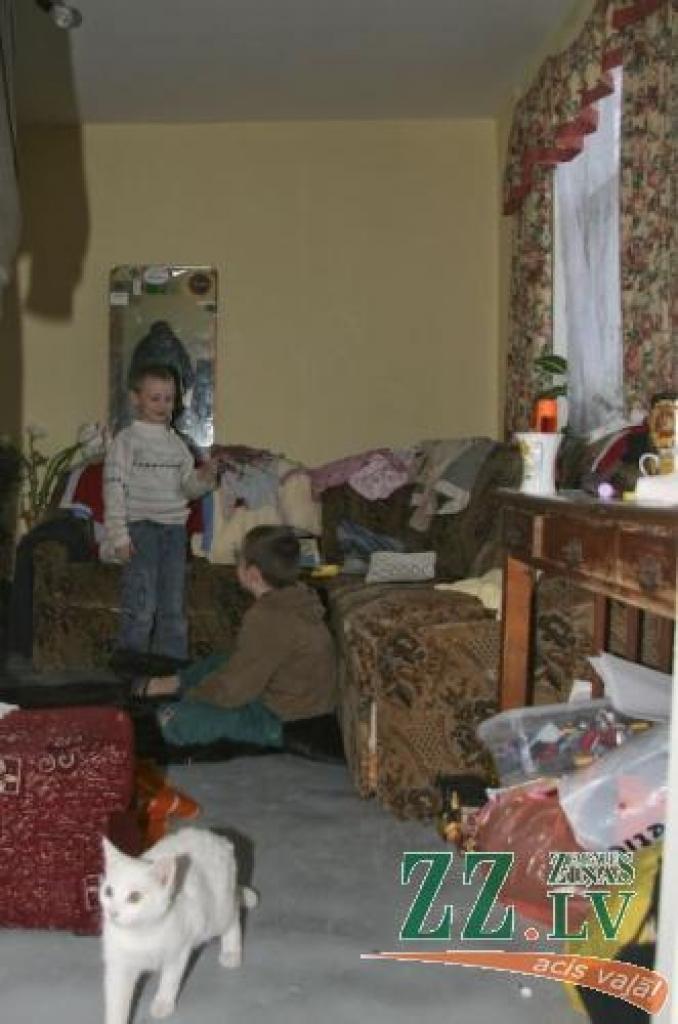 Ikdiena sievietei ar pieciem bērniem paiet vienā istabā.
Autors: Inga Karlinska.