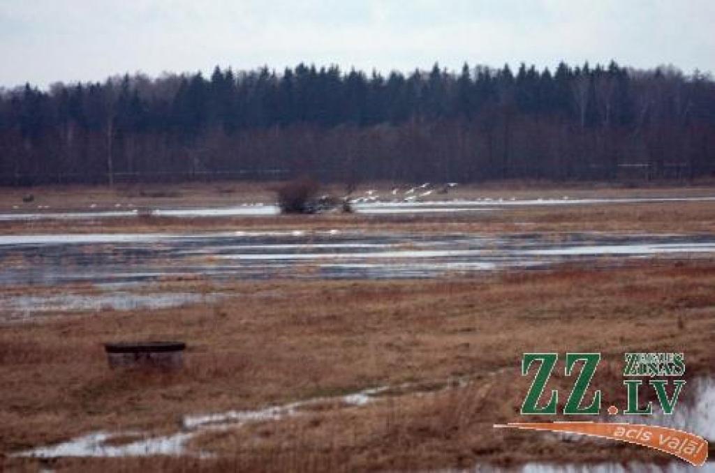 No 1.marta līdz 1.jūnijam uzturēšanās Svētes dabas parka lieguma zonā draud ar sodanaudu 50 līdz 500 latu apmērā. 
Autors: Krišjānis Grantiņš.