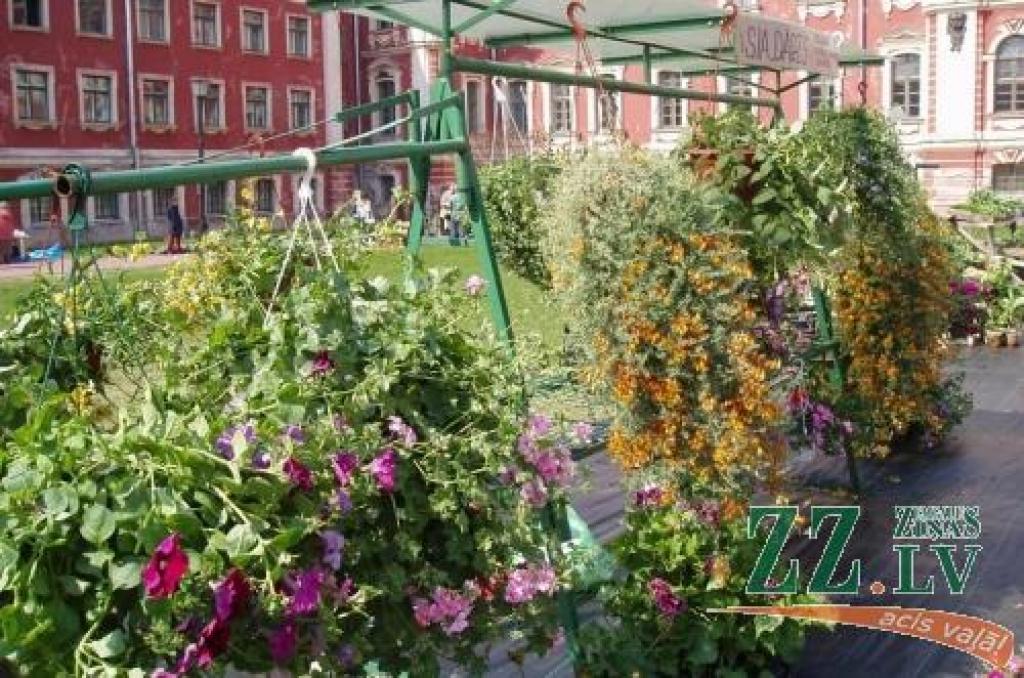 Šogad Stādu parāde notiks 2. un 3.maijā.
Autors: No «Ziņu» arhīva.