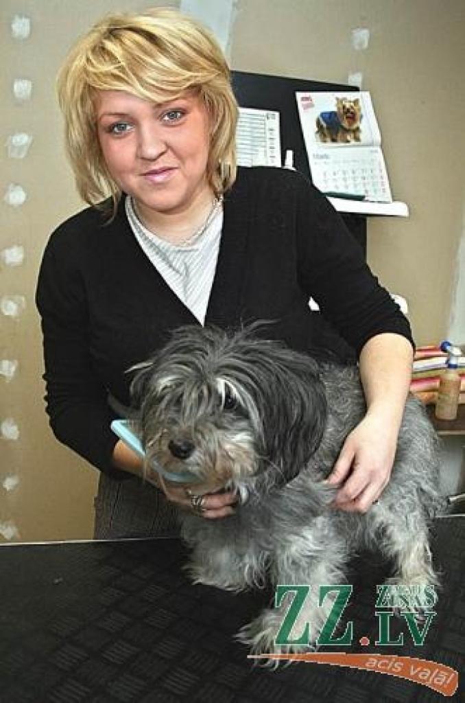 Visbiežākie suņu frizieres Līgas «klienti» ir šķirnes suņi, bet nereti sapucēties vēlas arī bezšķirnes dzīvnieciņi, kuriem, tuvojoties siltākam laikam, izvēlas loti īsu griezumu.
Autors: Agris Samcovs.