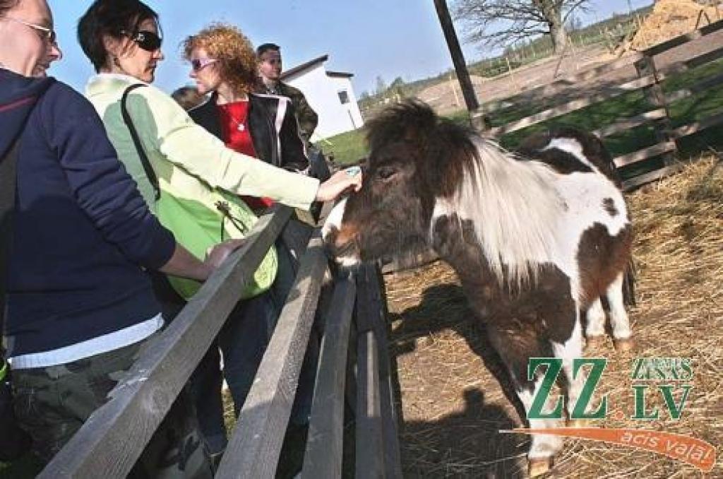 Delegācijas dalībnieki «Zemgales ponijos» Ozolnieku novada Brankās.
Autors: Agris Samcovs.