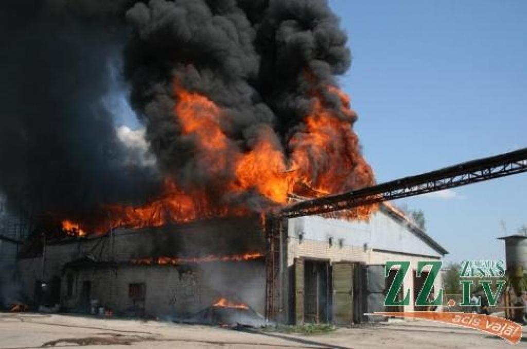 Ugunsgrēks izcēlās aptuveni 650 kvadrātmetru platībā.
Autors: Inga Karlinska.