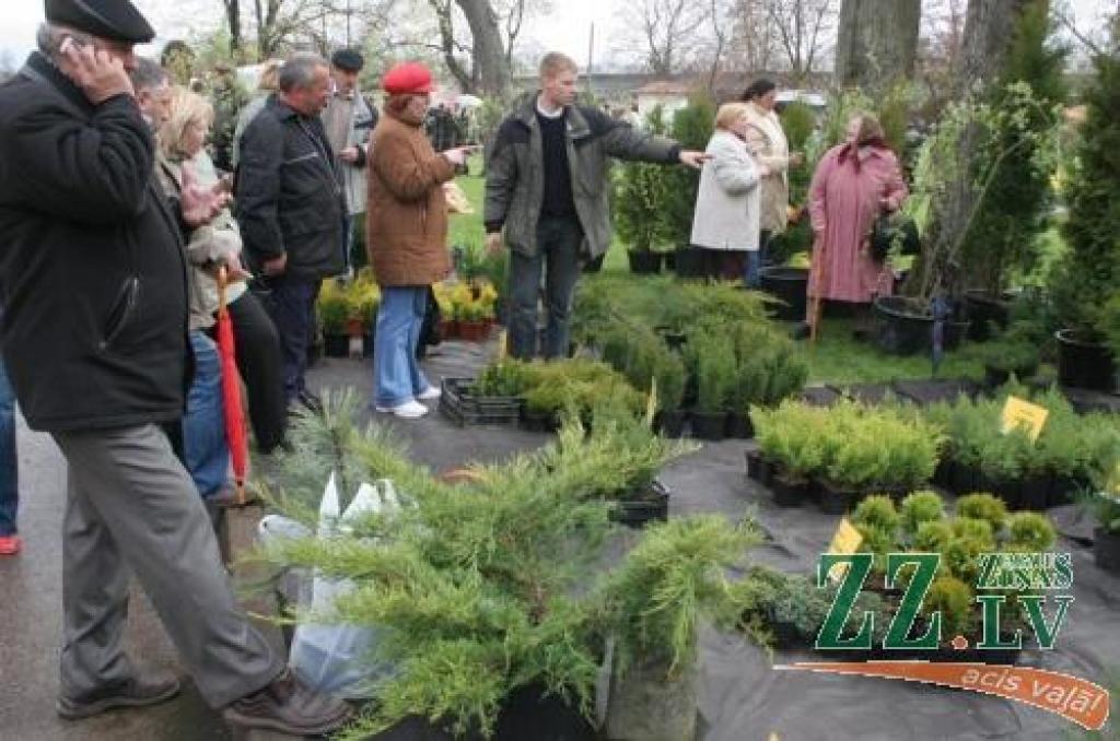 Šogad uz Stādu parādi varētu ierasties ap 150 dalībnieki.
Autors: No «Ziņu» arhīva.