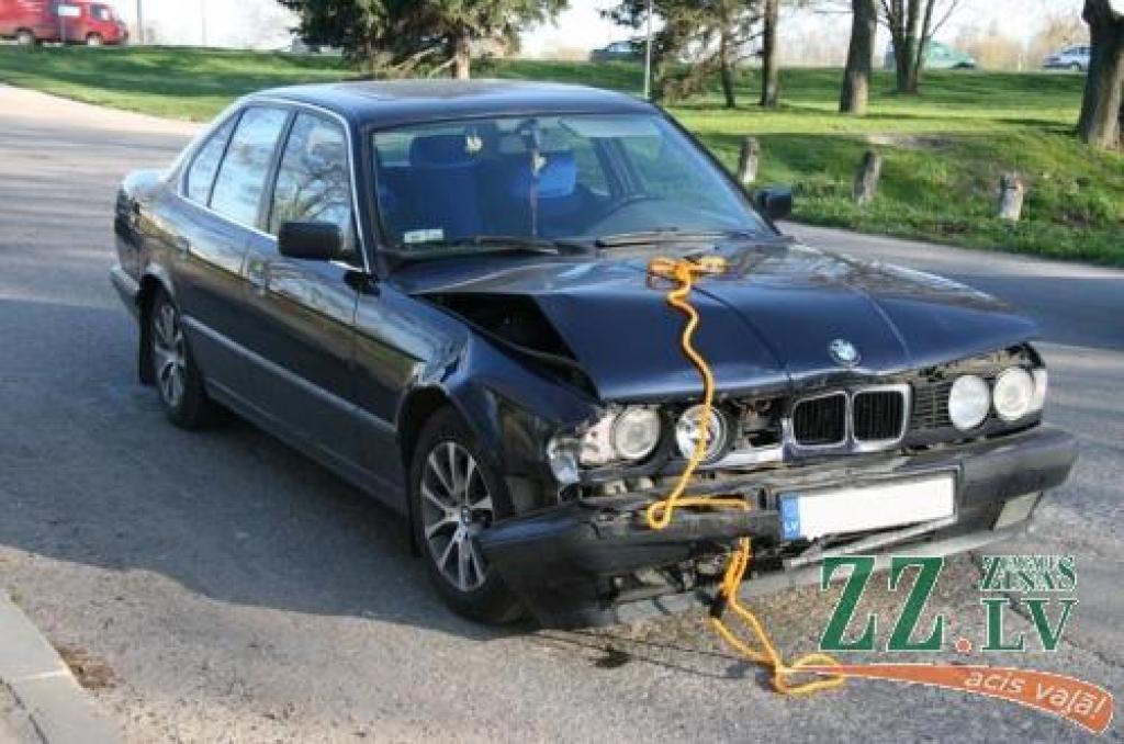 Viens no vilcieniņa «vagoniem».
Autors: Inga Karlinska.