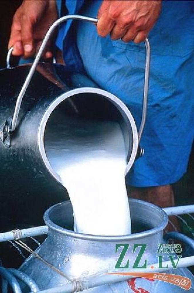 Kāda būs piena lauksaimniecības nākotne, to pagaidām neņemas prognozēt neviens...
Autors: No «Ziņu» arhīva.