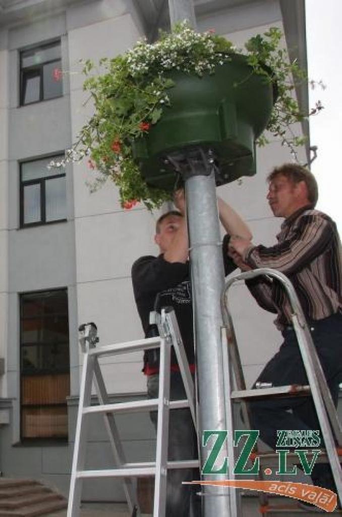 Pirmie puķu podi piektdienas pusdienlaikā tika nostiprināti pie Jelgavas domes ēkas.
Autors: Krišjānis Grantiņš.