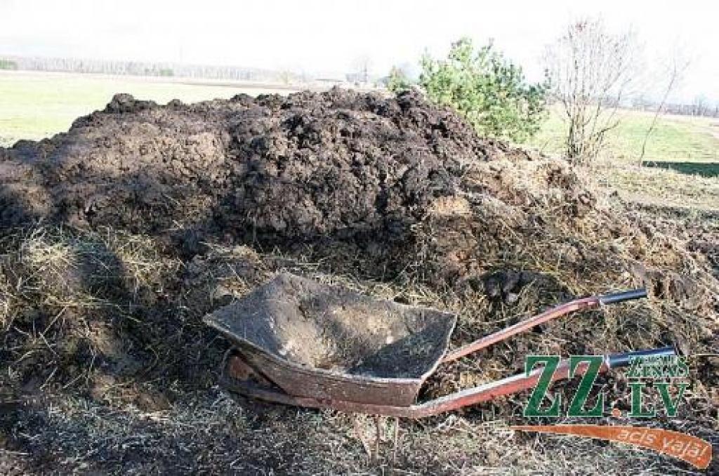 Izrādās, organiskie savienojumi noder ne vien lauku mēslošanai, bet arī elektroenerģijas ražošanai.
Autors: Agris Samcovs.