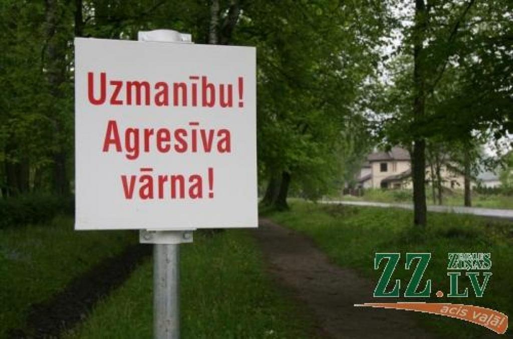 Līdz ar agresīvā lidoņa atgriešanos Jelgavā, no jauna izlikta arī brīdinājuma zīme.
Autors: Inga Karlinska.