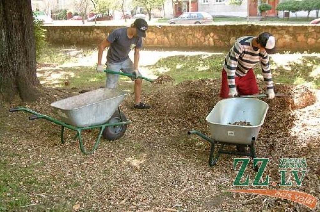 Plānots, ka gan jūnijā, gan jūlijā strādās 25 skolēnu grupa un bērnus iesaistīs pilsētas labiekārtošanas darbos – zāliena kopšanā, apstādījumu un puķu dobju inventarizācijā un ravēšanā.
Autors: Lāsma Antoneviča.
