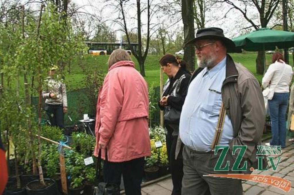 Stādu audzētavas «Dimzas» saimnieks Guntis Vītoliņš un Zaļenieku kokaudzētavas vadītājs Imants Parfenovičs secinājuši, ka šopavasar parādē vairāk iegādāti lētākie dēsti.
Autors: Inga Karlinska.