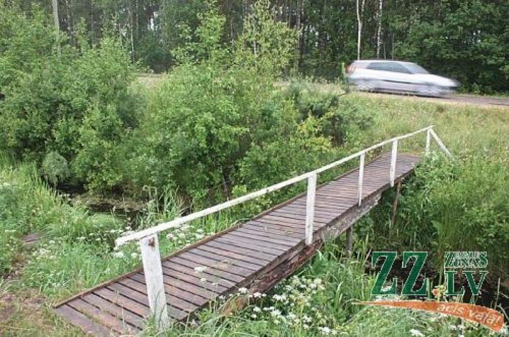 Pie vectēva ierīkotās laipiņas pār ceļmalas grāvi, kā liecina nospiedumi zālē, iespējams, bojāgājušais zēns bija ierīkojis vietu, kur, neviena netraucēts, varēja darīt ko grib...
Autors: Agris Samcovs.