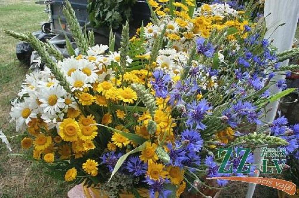 Kur mīt saulainākā Līga? To ceram noskaidrot ar lasītāju atbalstu.
Autors: No «Ziņu» arhīva.