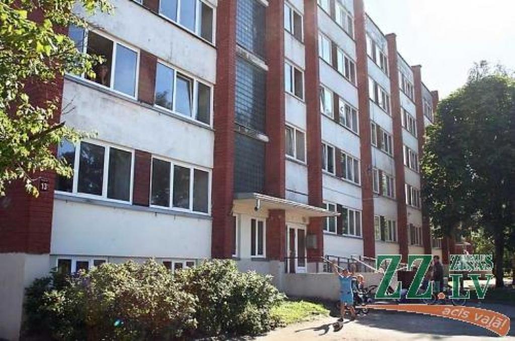 Namā mītošais ne tas labvēlīgākais pilsētas kontingents regulāri sagādā rūpes ne tikai pašvaldībai, bet arī kārtības sargiem.
Autors: Elga Dudareva.