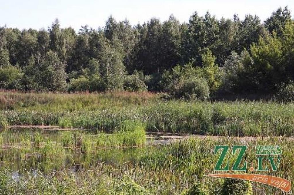 Šobrīd gruntsūdeņi bijušajā bīstamo vielu izgāztuvē piesārņoti 23 hektāru  platībā. No tiem aptuveni deviņi hektāri uzskatāmi par stipri piesārņotiem.
Autors: Krišjānis Grantiņš.