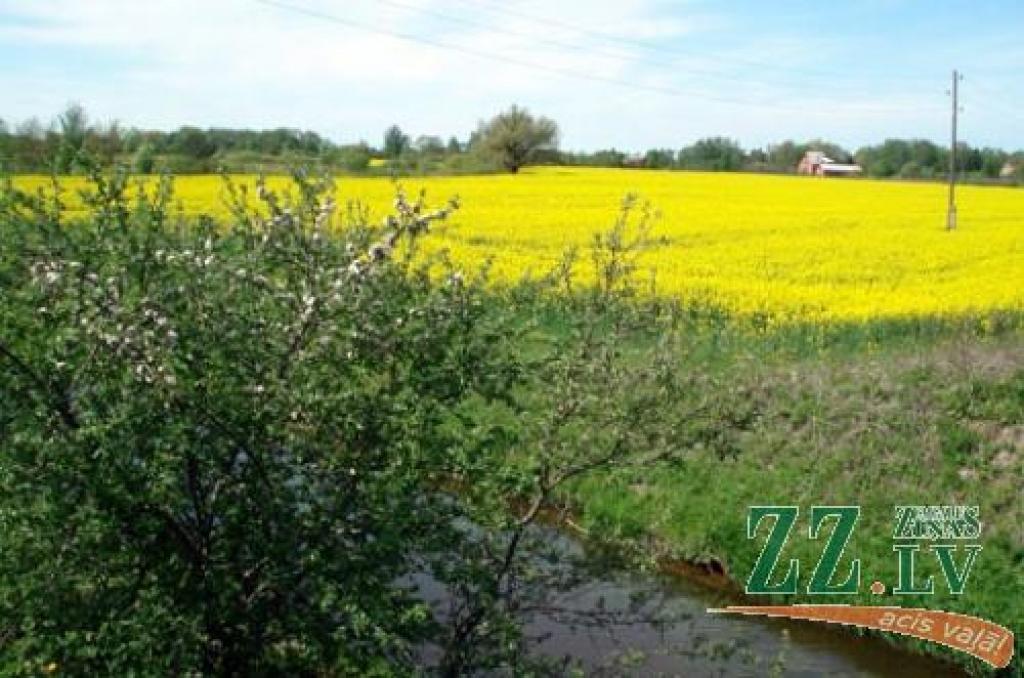 Glūdas pagasta centieni tikuši novērtēti arī šogad - uzvara konkursa «Sakoptākais Latvijas pagasts» Zemgales finālā. 
Autors: www.gluda.lv