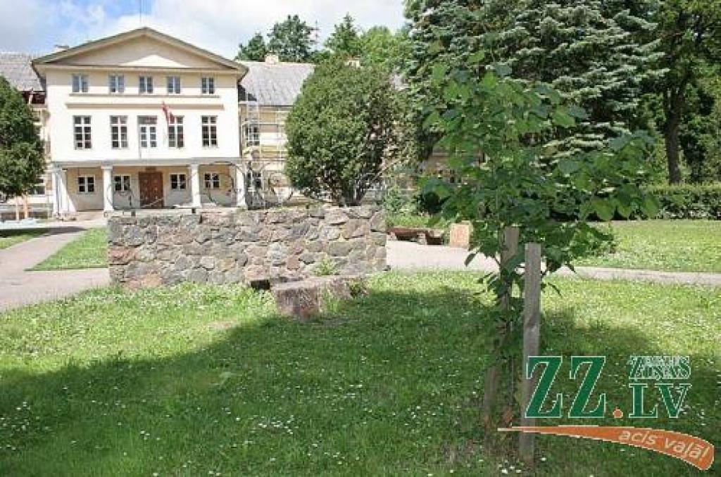 Liepa simbolizē Lielplatones pamatskolu, kas patlaban atrodas pilī.
Autors: Agris Samcovs.