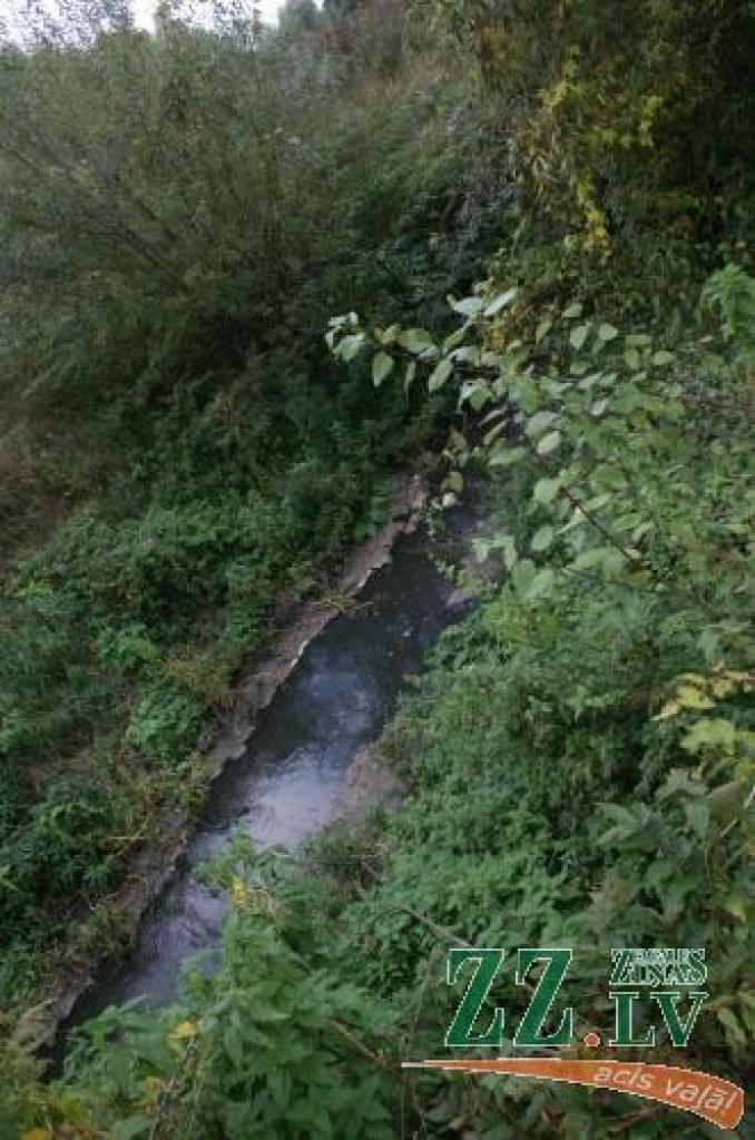 Ceturtdien jūtamā smārda cēlonis līdzīgi kā citus gadus izrādījies akciju sabiedrības «Jelgavas cukurfabrika» teritorijā esošajos dīķos.
Autors: No «Ziņu» arhīva. 