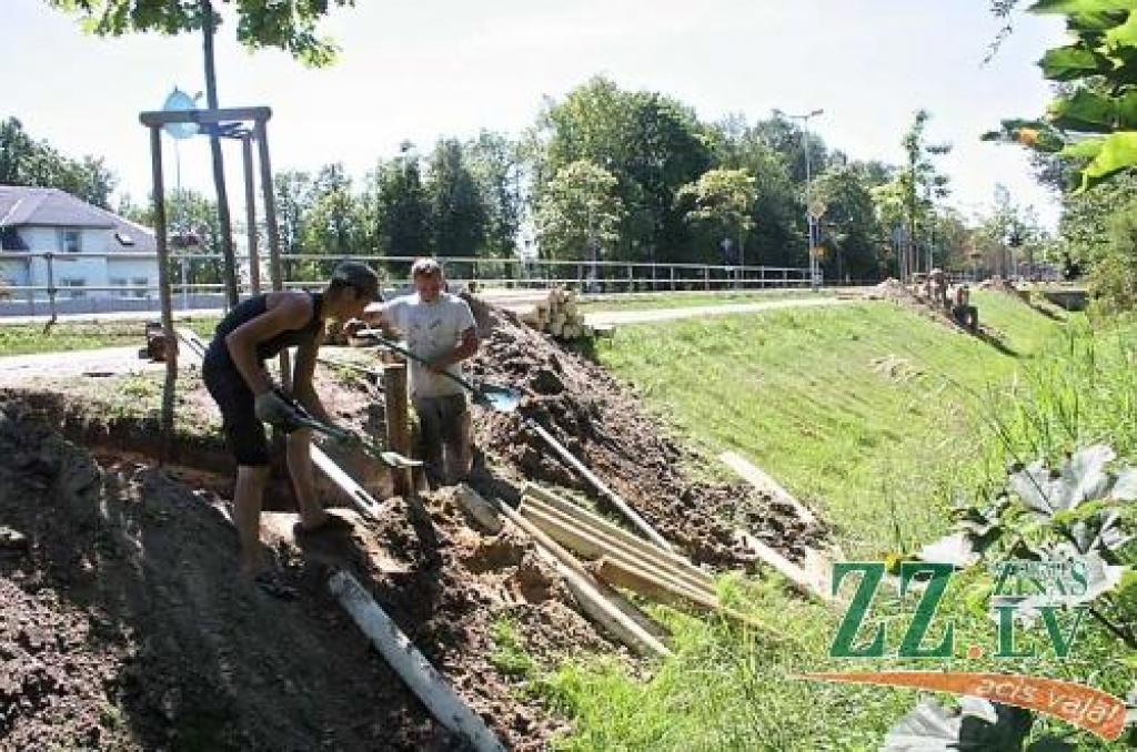 Rīgas ielas malā ar atbalsta sienām nostiprina jauno un dārgo ozolu saknes. Līdz nākamās nedēļas sākumam koku pamatnes būs ieguvušas jaunu un modernu veidolu. 
Autors: Agris Samcovs.