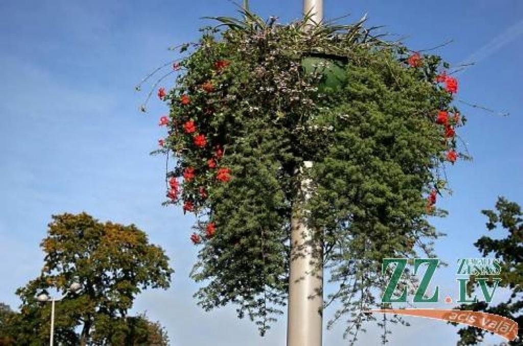 Autors: Agris Samcovs.