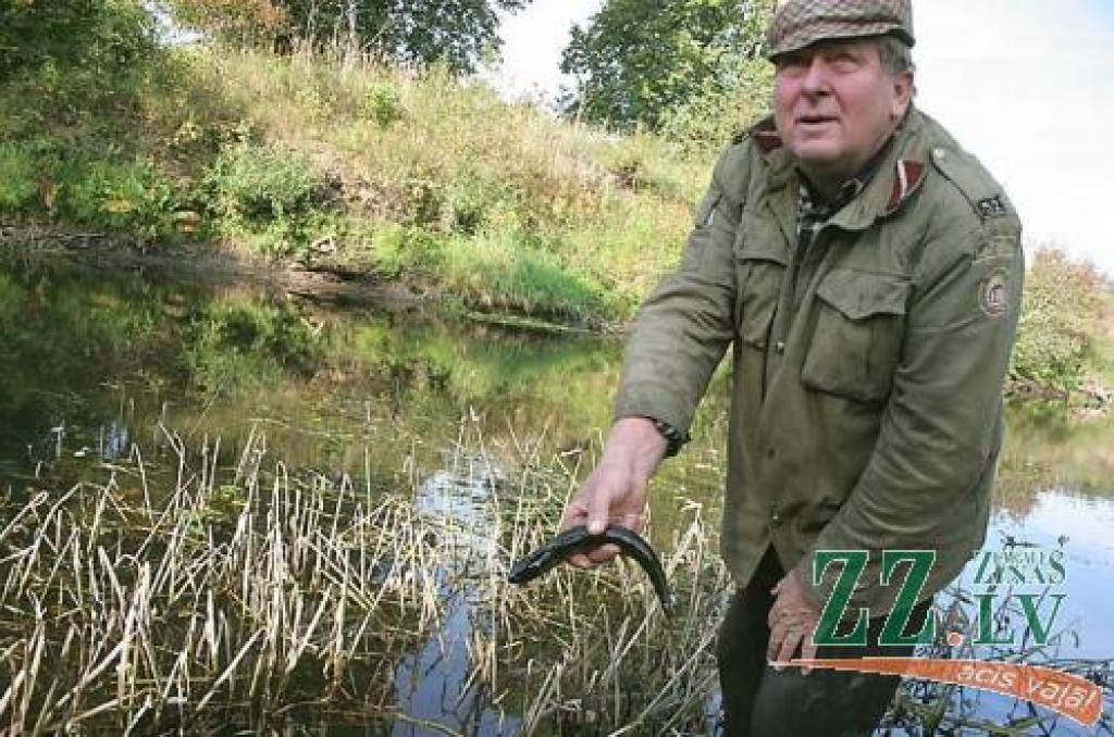 Tiek pieļauts, ka zivju slāpšanu Misas upē izraisa ūdens augu pūšana. Tikmēr zemnieks Andris Ķepītis no Rūjām domā, vai turpmāk zirgus un citus savus lopus dzirdīt ar Misas ūdeni, ja jau pat zivis tajā nejūtas labi. 
Autors: Agris Samcovs.