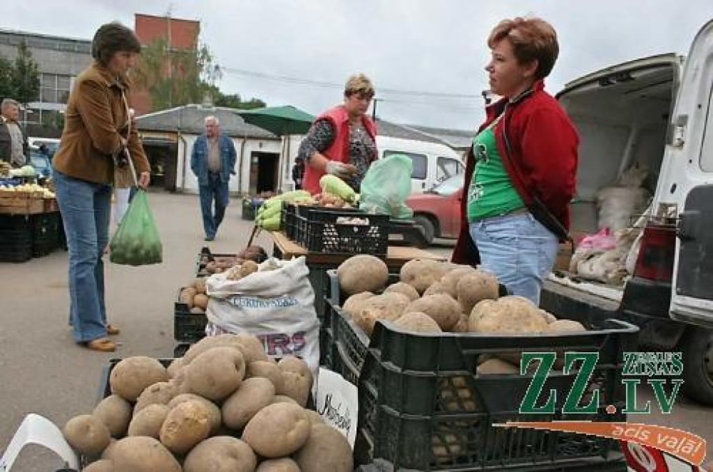 «Slikti – kartupeļi bojājas, sevišķi gaišās šķirnes. It kā padevušies lieli bumbuļi, bet cerā to ir maz, kādi trīs četri. Citus gadus bija pat desmit,» «Ziņām» stāsta kartupeļu audzētāja Līga Čekstere no Tērvetes novada.
Autors: Agris Samcovs.
