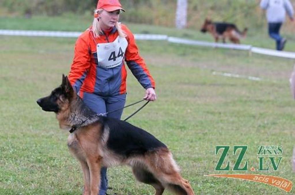 Izstādes ringā Baltijas jaunais čempions Heleros Kvinto. Viņa tēvs ir Ingods Agassi, kas šogad pasaules čempionātā ieguva 5.vietu. 
Autors: Agris Samcovs. 