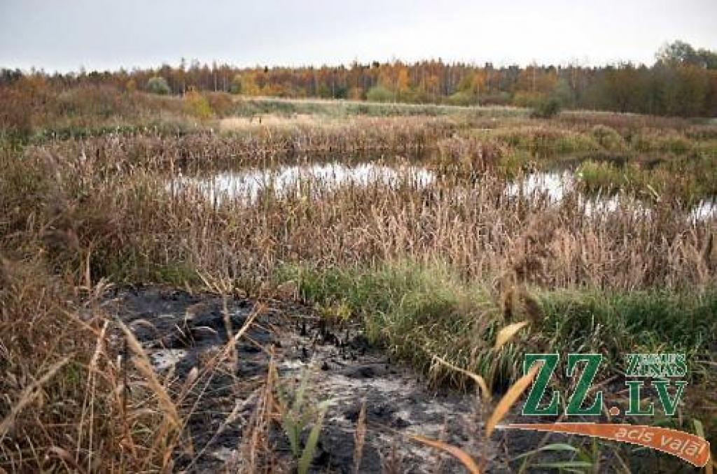 Autors: Agris Samcovs.