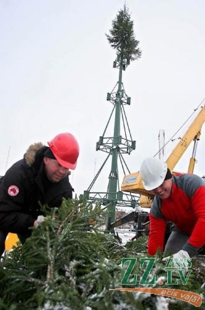 Pilsētnieku un viesu skatam jau atklājas Hercoga Jēkaba laukumā izvietotās Jelgavas centrālās egles galotne. No 40 eglītēm veidotais Ziemassvētku koks pilnībā būs apskatāms nedēļas otrajā pusē.
Autors: Agris Samcovs. 