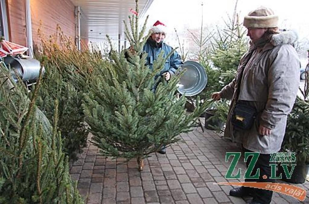 Autors: Krišjānis Grantiņš.