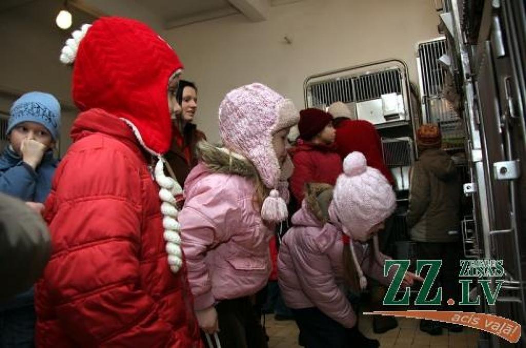 Autors: Krišjānis Grantiņš.