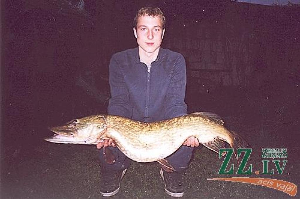 Līdz šim lielāko lomu – 103 centimetrus garu «astoņnieci» – Jānis Freimanis izvilcis Lielupē netālu no Mežciema. 
Autors: No J.Freimaņa albuma.